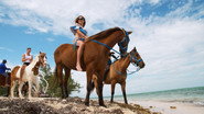 EN - Grand Cayman: Secrets In Paradise (2024) S01 E01