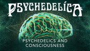 EN - Psychedelica (2018) S01 E01