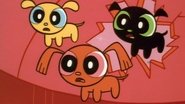 EN - The Powerpuff Girls (1998) (US) S01 E01