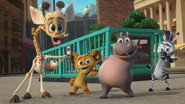 EN - Madagascar: A Little Wild (2020) S01 E01