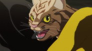 FR - Nyaight of the Living Cat (2025) (JP) S01 E01