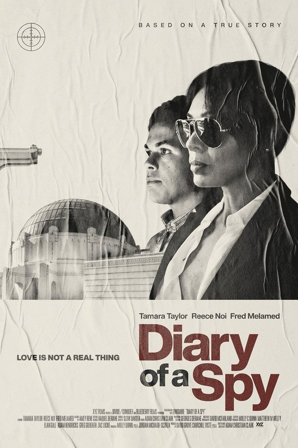 AR - Diary of a Spy  (2022)