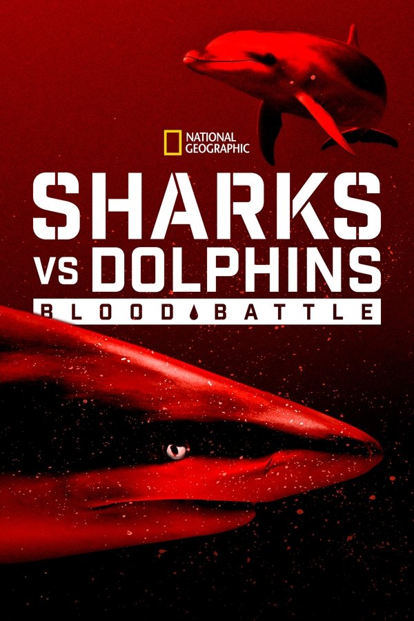 EN - Sharks vs. Dolphins: Blood Battle (2020)