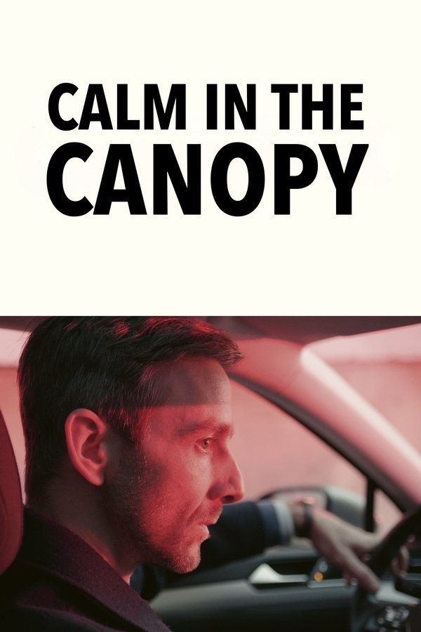 EX - Calm in the Canopy (2024)
