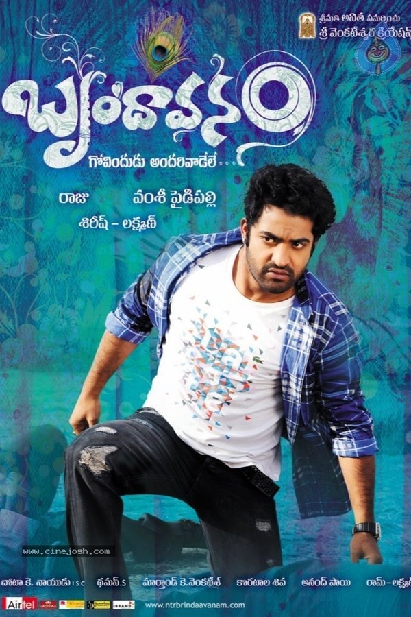 IN - Brindavanam (2010)