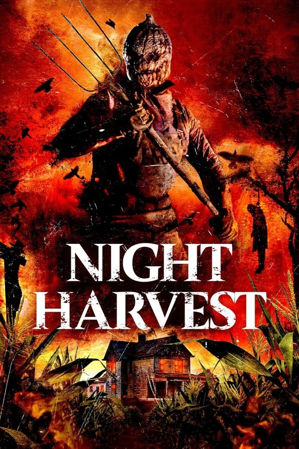 BN - Night Harvest (2024)
