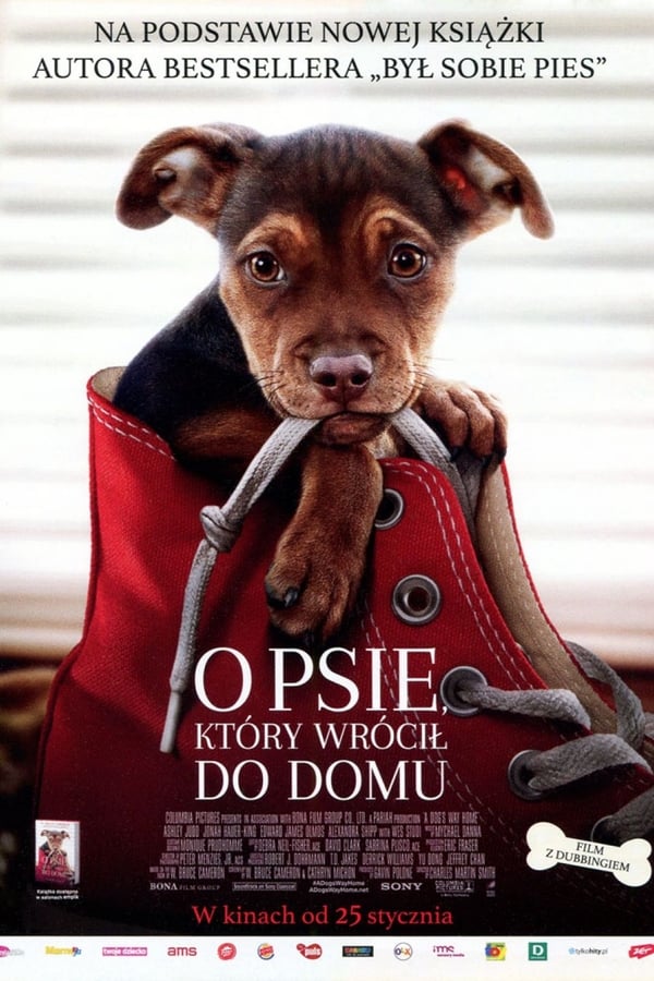 KTÓRY WRÓCIŁ DO DOMU (2019)