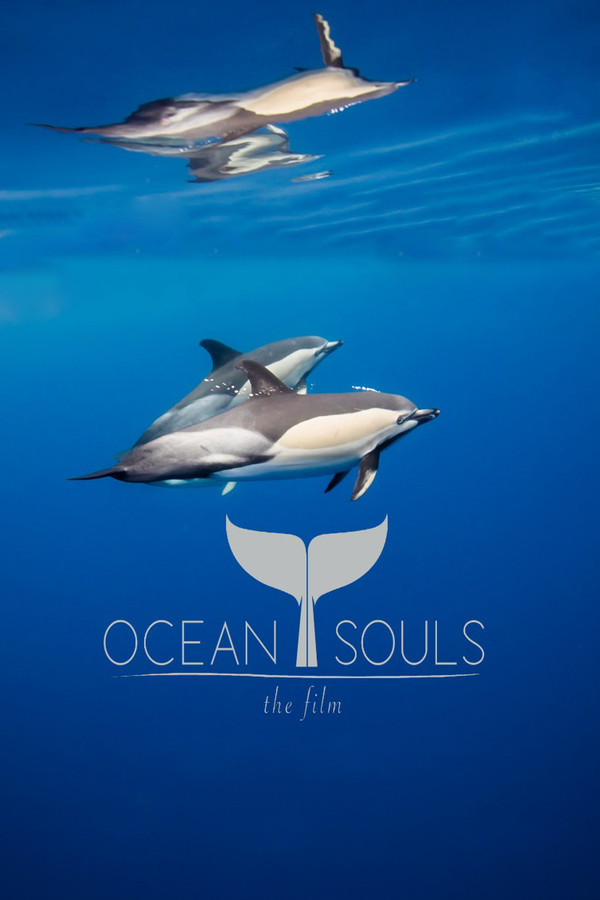 PL 4K - W głębi oceanu (2020) Dokument