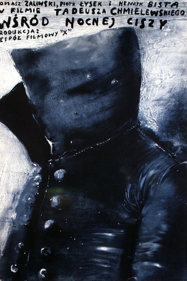 PL - WŚRÓD NOCNEJ CISZY (1978) POLSKI