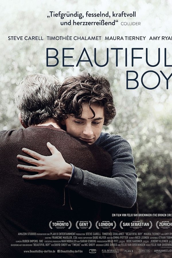 DE - Beautiful Boy (2018) (4K)