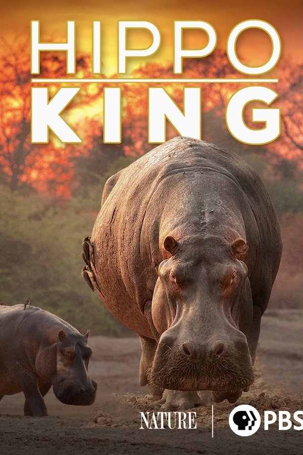 EN - NATURE Hippo King (2022)