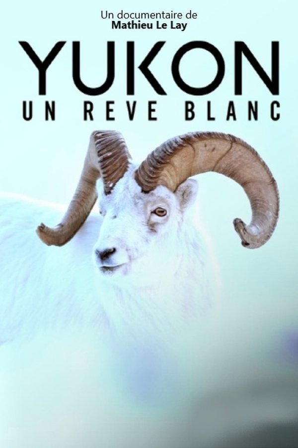 FR - Yukon : un rêve blanc  (2022)