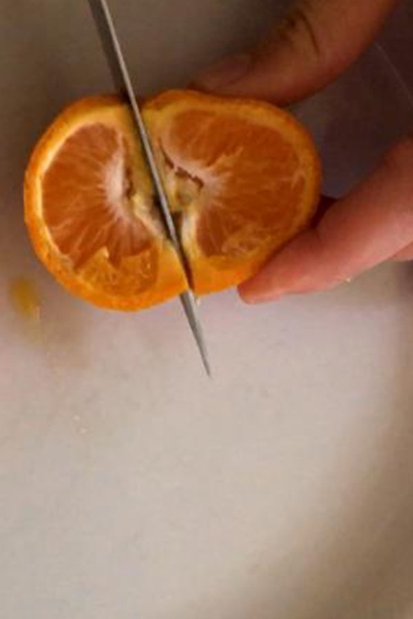 NL - ROTTEN FRUIT (2022)