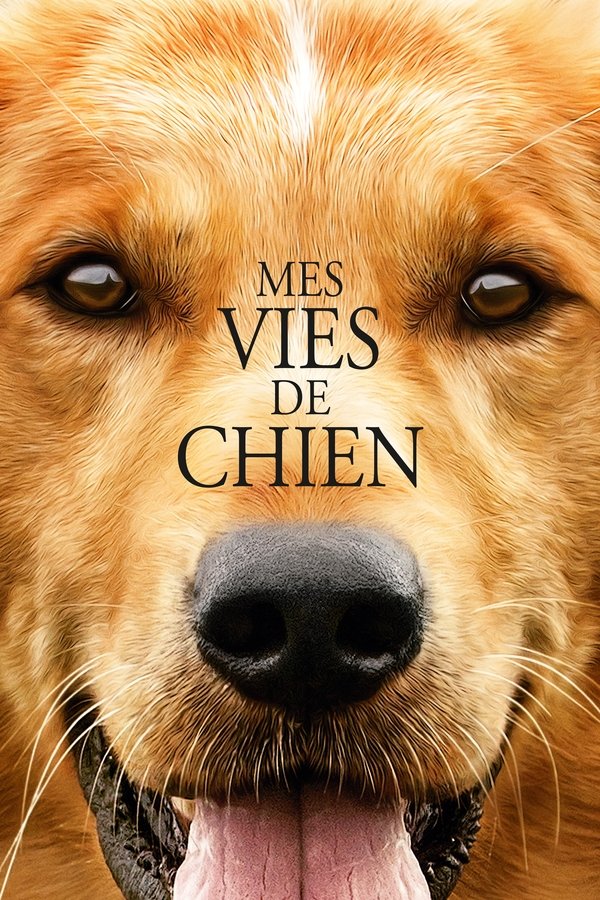 FR - Mes vies de chien (2017)