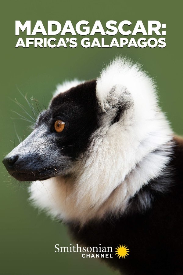 EN - Madagascar: Africa's Galapagos (2019)