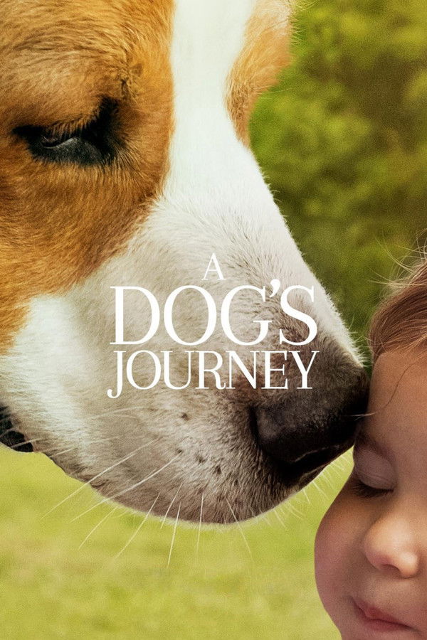 EN - A Dog's Journey (2019)