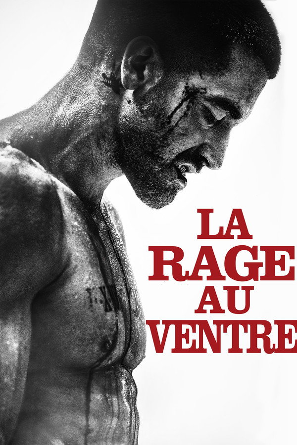FR - La Rage au ventre (2015)