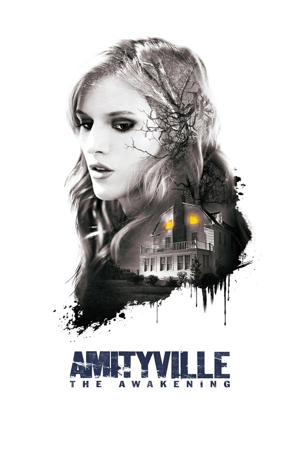 SE - Amityville: The Awakening