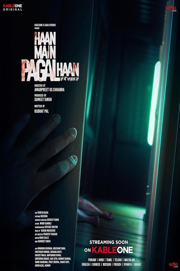 AR - Haan Main Pagal Haan (2025)