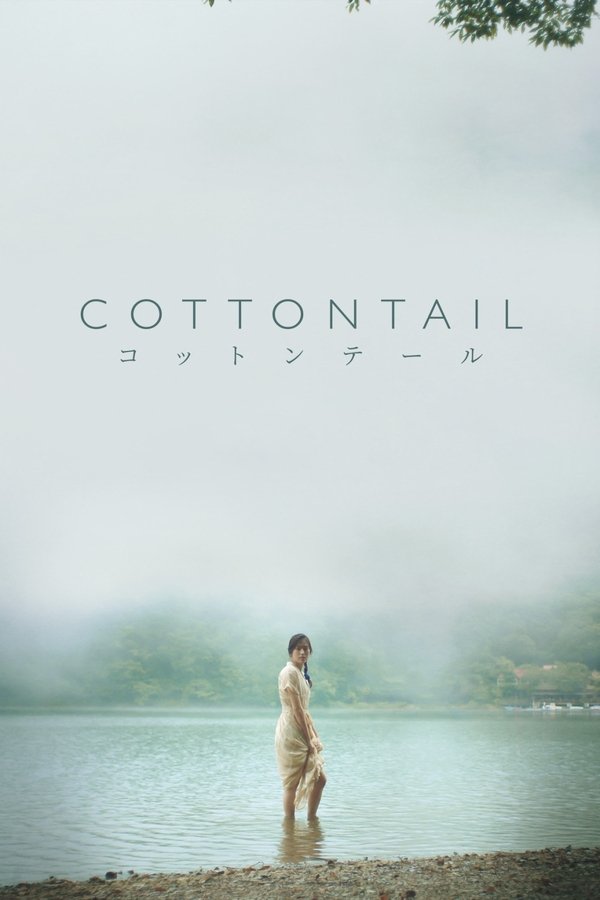 AR - Cottontail (2024)