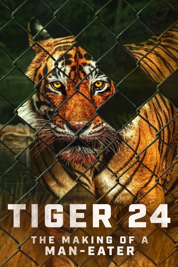 AR - Tiger 24 (2022)
