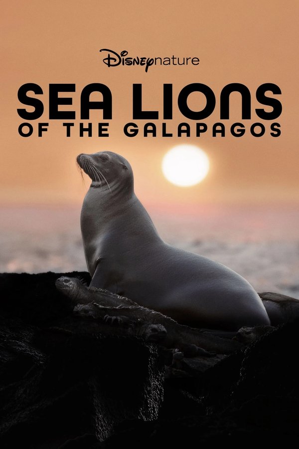 GR - Sea Lions of the Galapagos (2025)