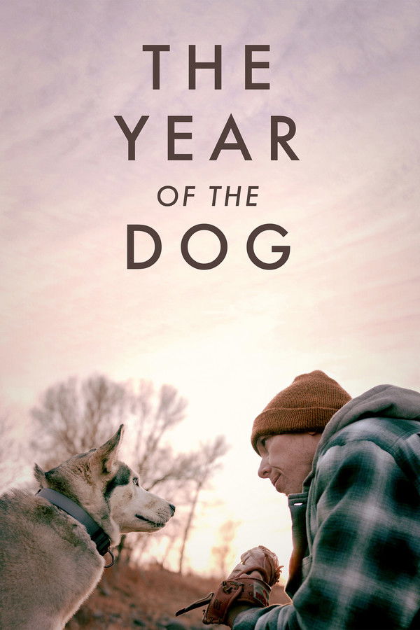 AR - The Year of the Dog (2022)
