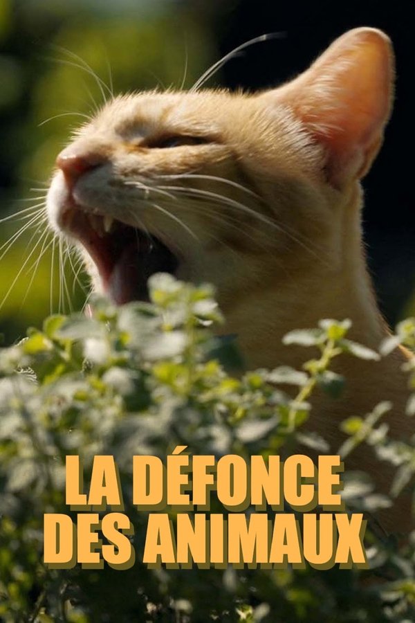 FR - La défonce des animaux (2025)