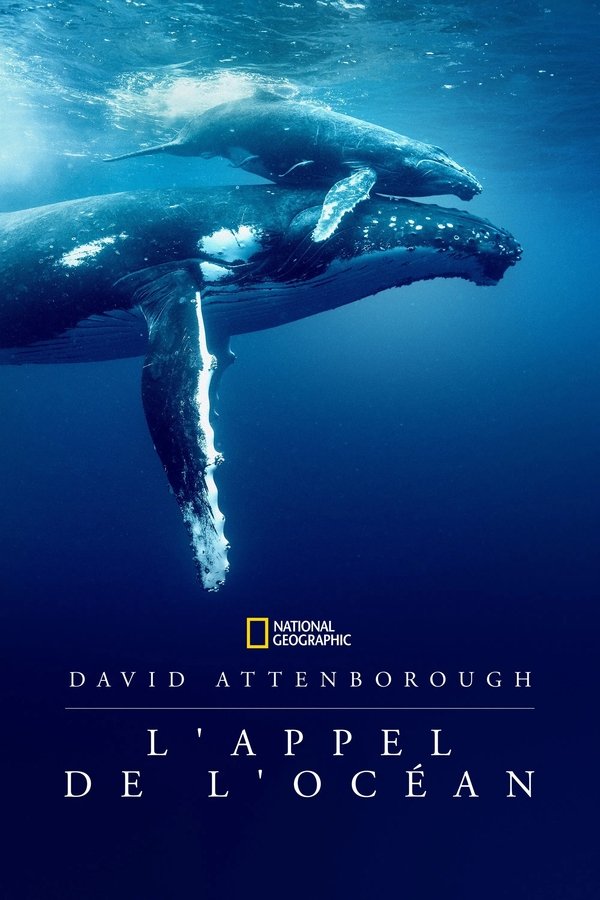 FR - David Attenborough : L'Appel de l'Océan (2025)