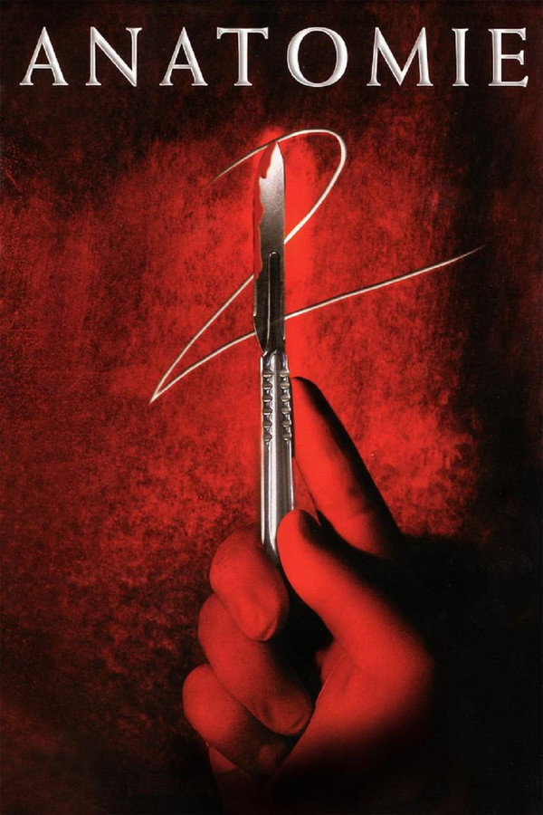 ES - Anatomía 2