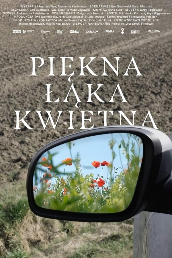 PL - PIĘKNA ŁĄKA KWIETNA (2022) POLSKI