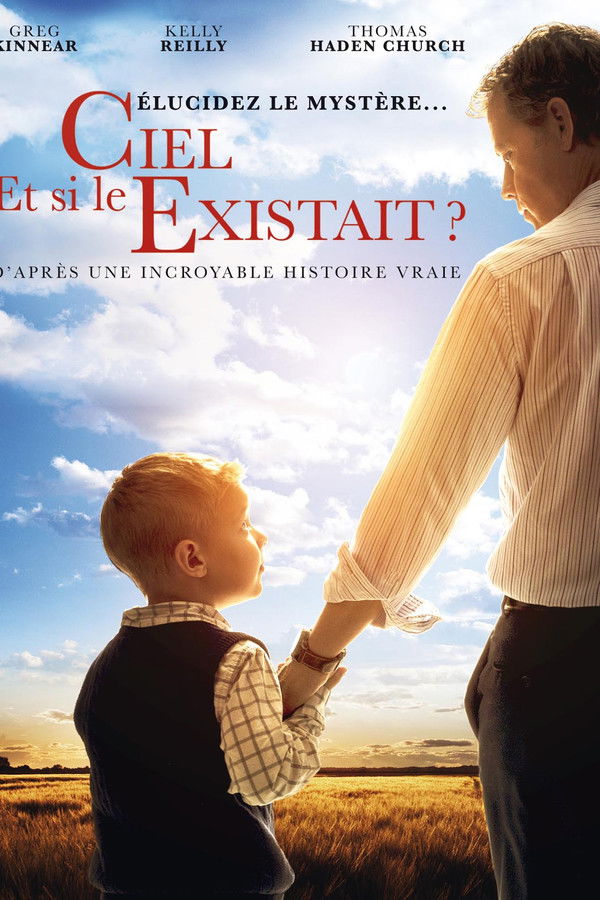 FR - Et si le Ciel existait ? (2014)