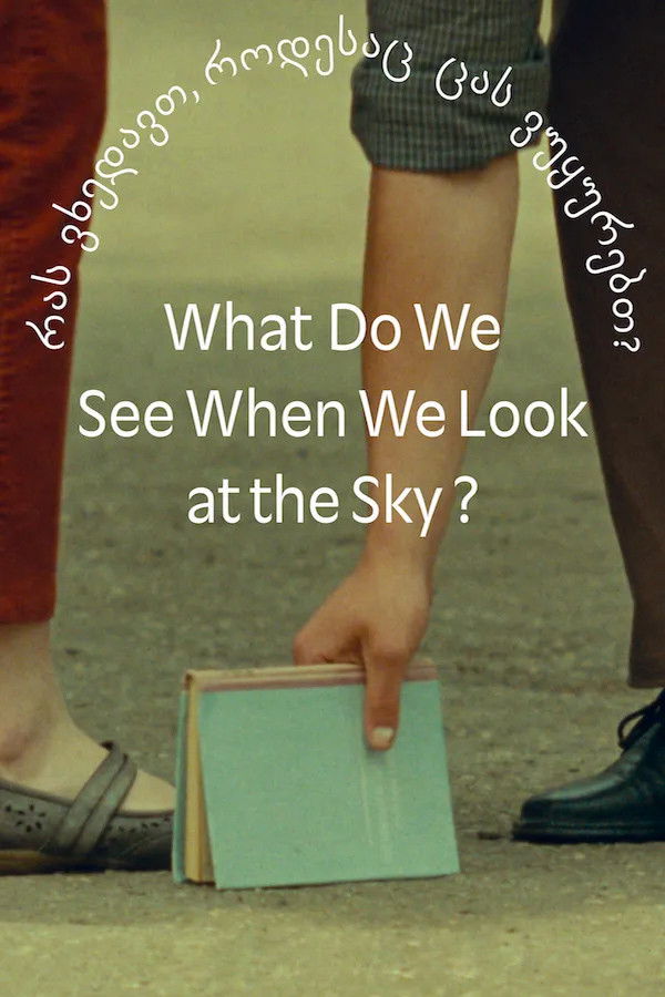 NL - WHAT DO WE SEE WHEN WE LOOK AT THE SKY (2022)