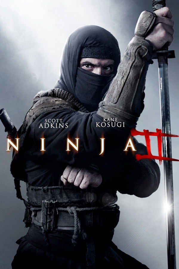 SOM - Ninja: Shadow of a Tear  (2013)