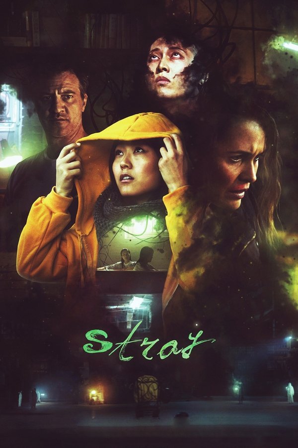BR - Stray - 2019