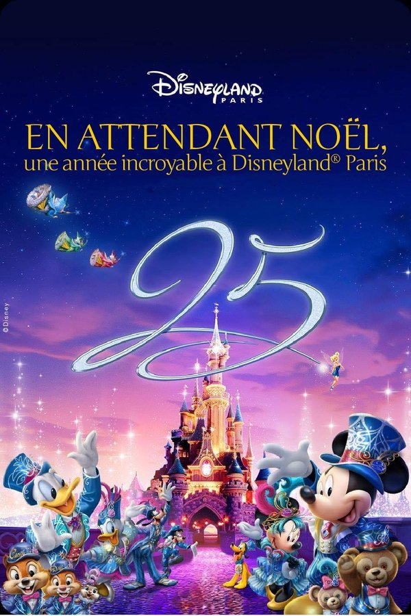 une année incroyable à Disneyland Paris (2017)
