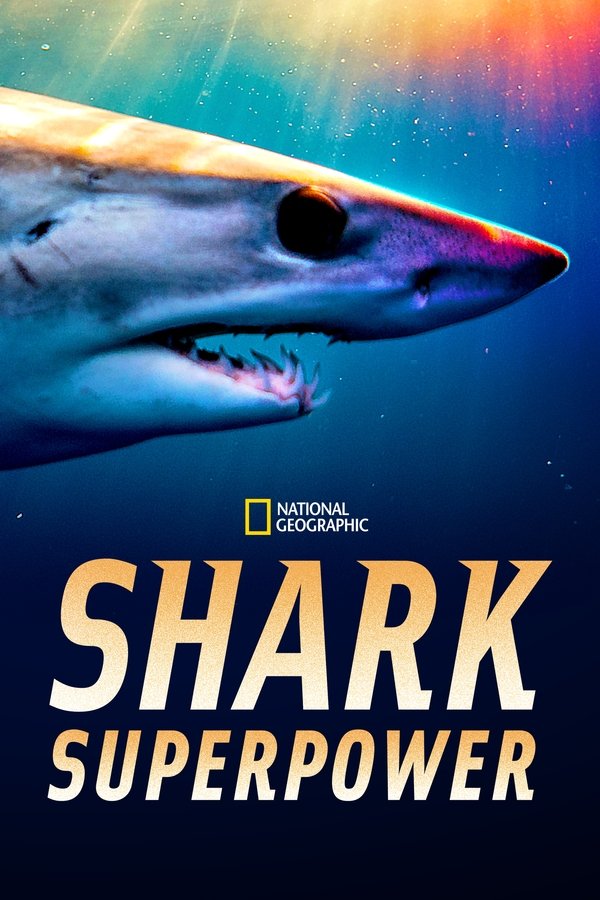 EN - Shark Superpower (2022)