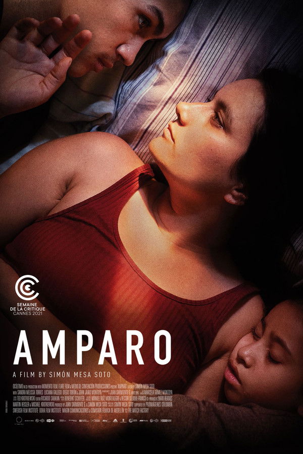 PL - AMPARO (2022)