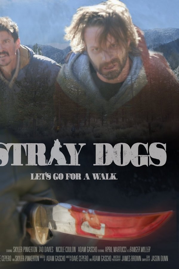 EN -  Stray Dogs  (2020)