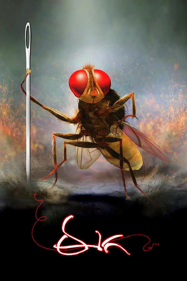 IN - Eega  (2012)