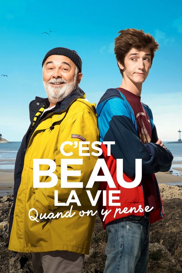 FR - C'est beau la vie quand on y pense (2017)