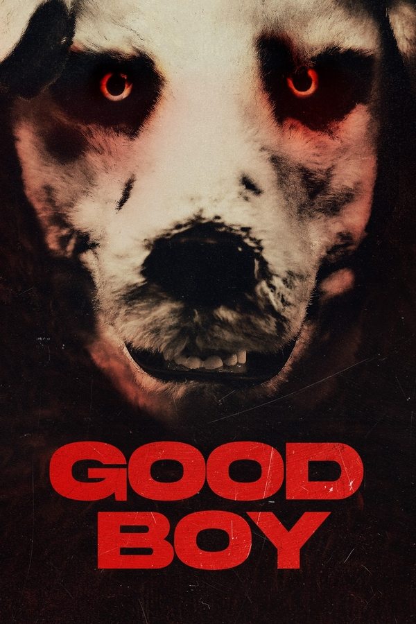 IN - Good Boy (2022)