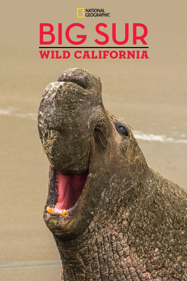 EN - Big Sur-Wild California (2010)