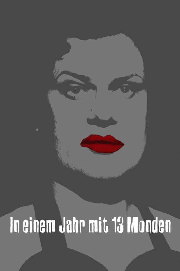 DE - In einem Jahr mit 13 Monden (1978)