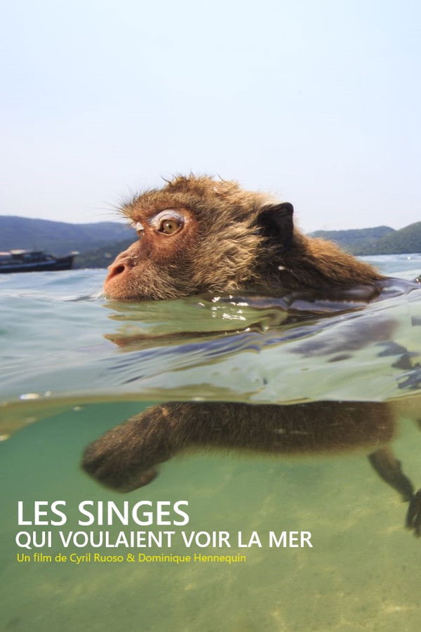 FR - Les singes qui voulaient voir la mer  (2020)