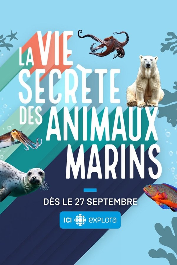 QFR - La vie secrète des animaux marins (2024) (CA)