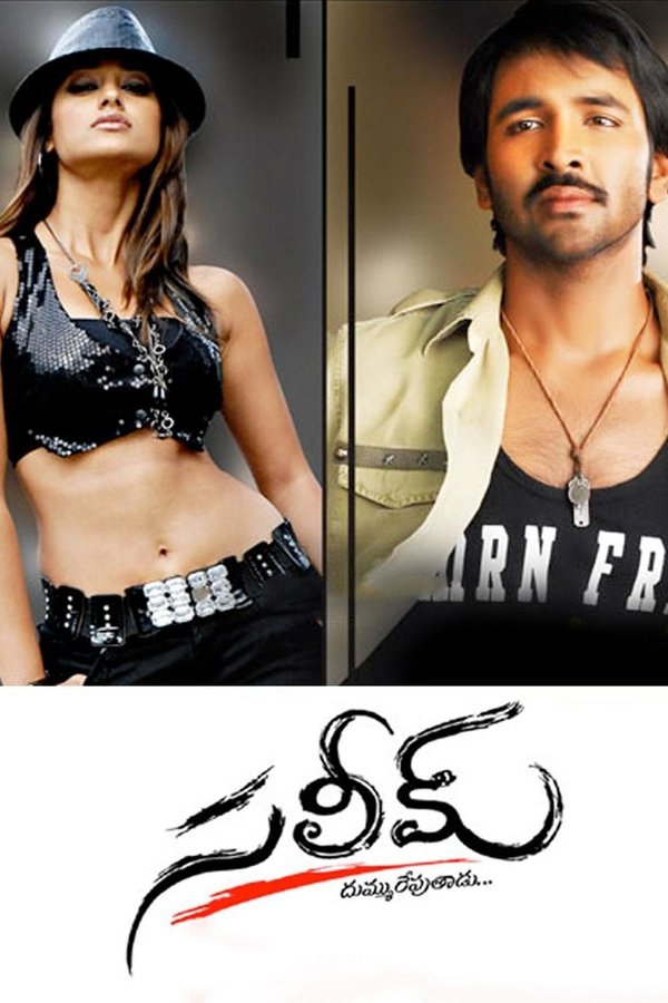 IN - Saleem (2009)
