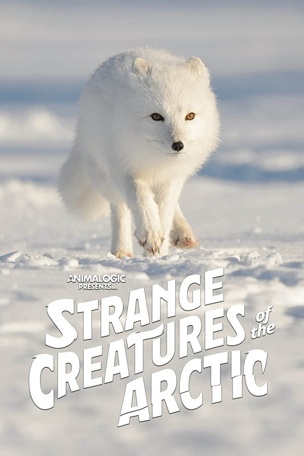 EN - Strange Creatures Of The Arctic (2022)
