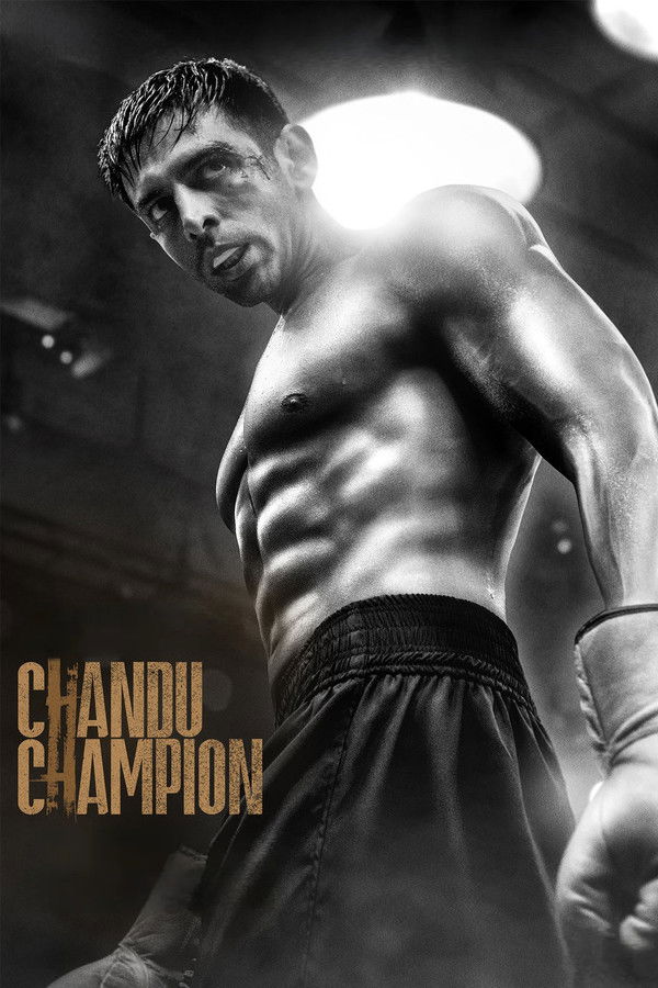 IN - Chandu Champion (2024)