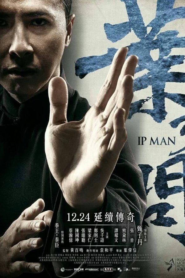 FR - Ip Man 3 (2015)